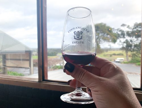 If you live in the Canberra Region, it should come as no surprise to you that the Shoalhaven Coast Wine Region has 9 cellar doors, 5 breweries and a gin distillery to boast about. 
