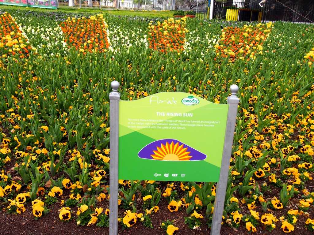 Garden bed with flowers set out like a sun, Sign in front reads 'Rising Sun'.