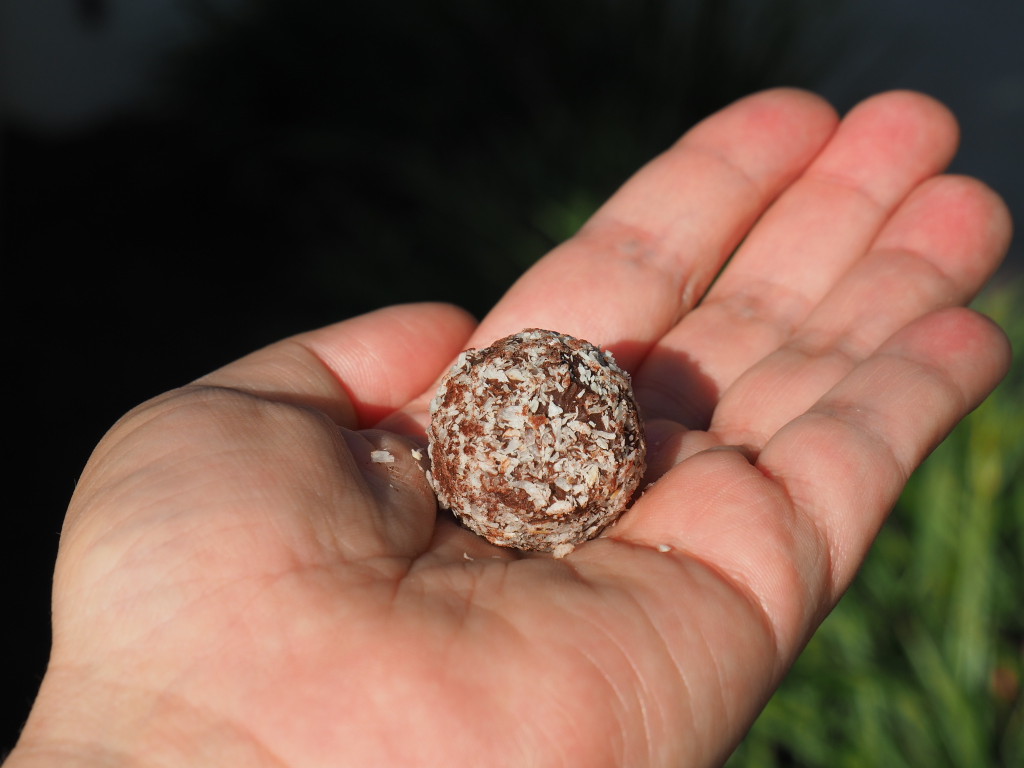 Lamington Truffle: Hand made in Canberra