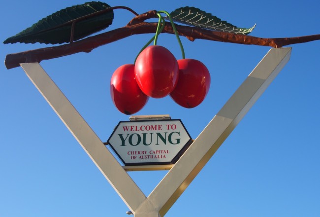 Welcome to Young, Cherry Capital of Australia