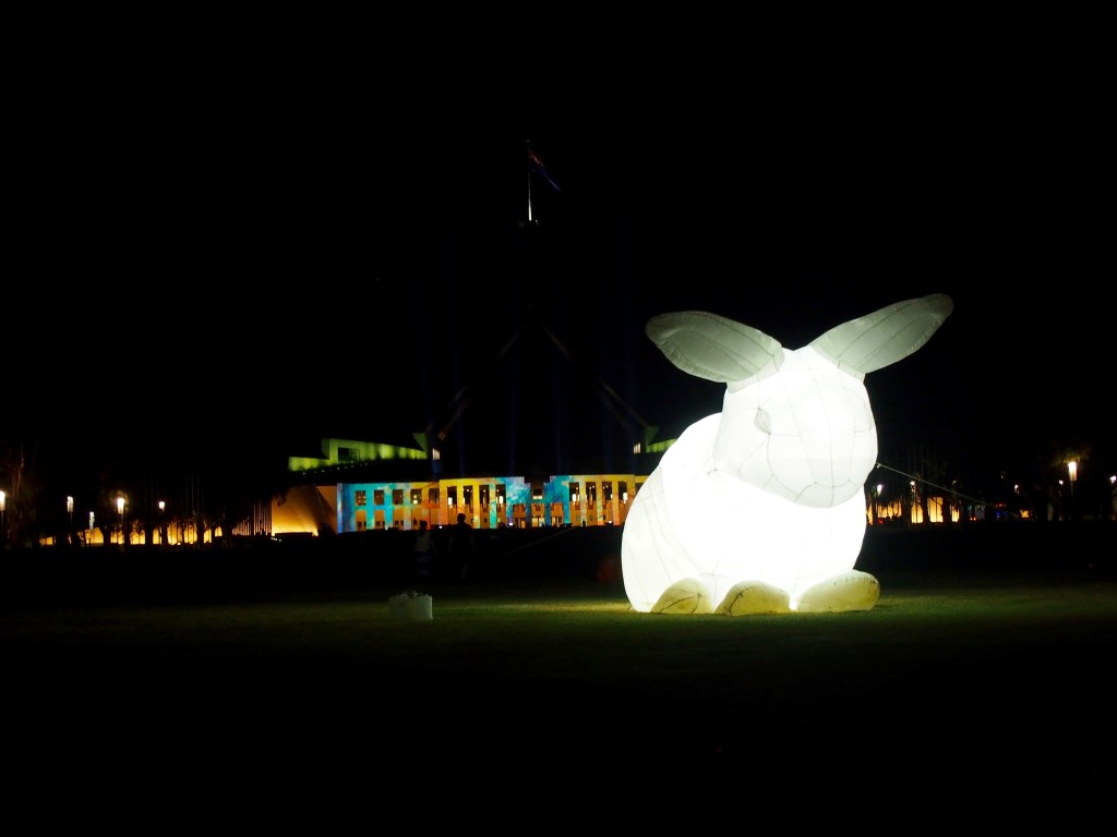 Enlighten 2016, projections at the Australian Parliament House - with rabbits, Canberra.