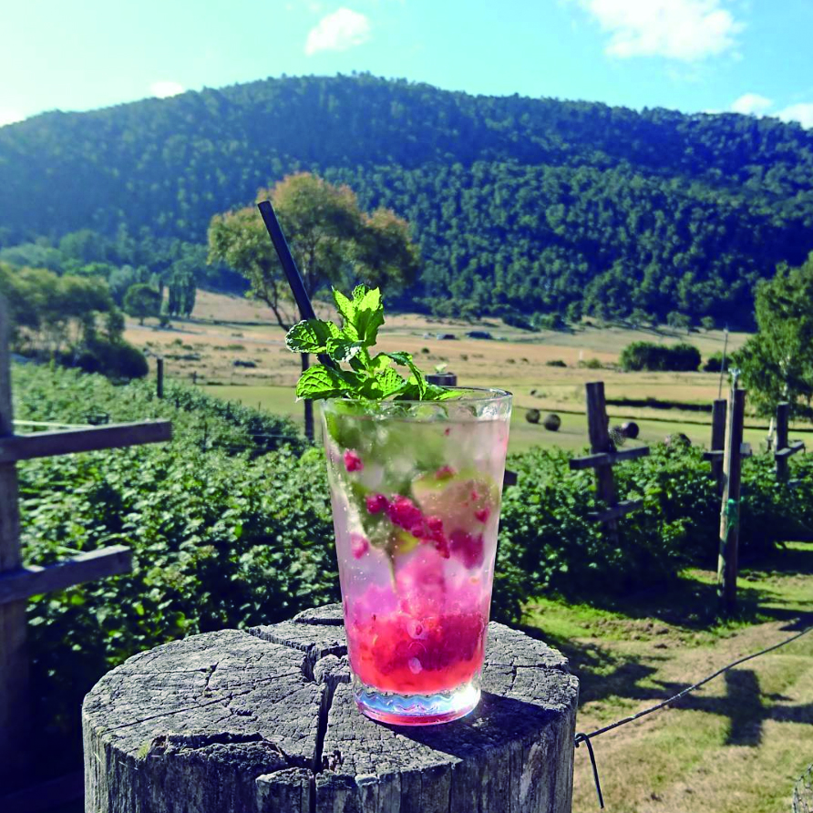 A tall glass is sitting on a wooden stump. The glass is filled with ice, raspberry, mint and pink liquid. A black straw is coming our of the glass. In the background are mountain rangers.